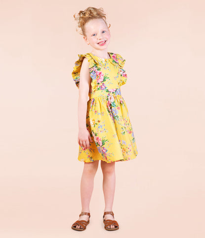 BEATRICE PETER PAN DRESS