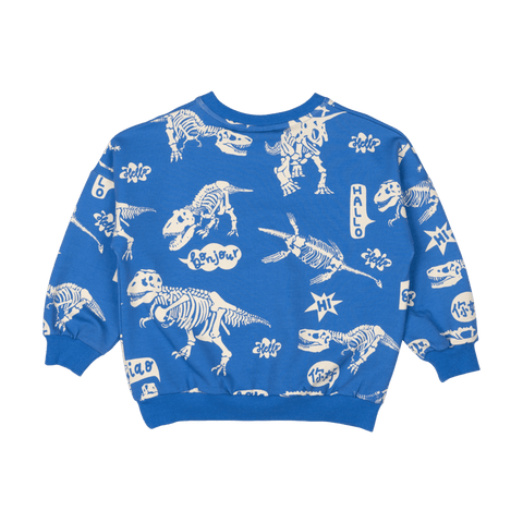 HELLO DINO SWEATSHIRT