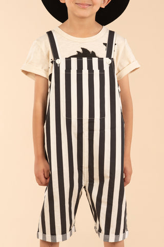 STRIPE OVERALLS