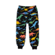 DINO BRIGHT TRACK PANTS