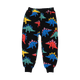 DINO TIME TRACK PANTS