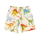 DINOS GALORE SHORTS