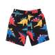 DINO TIME BOARD SHORTS - Toddler Swim - Boys